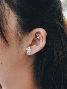 Sweet Daisy Stud with Pearls