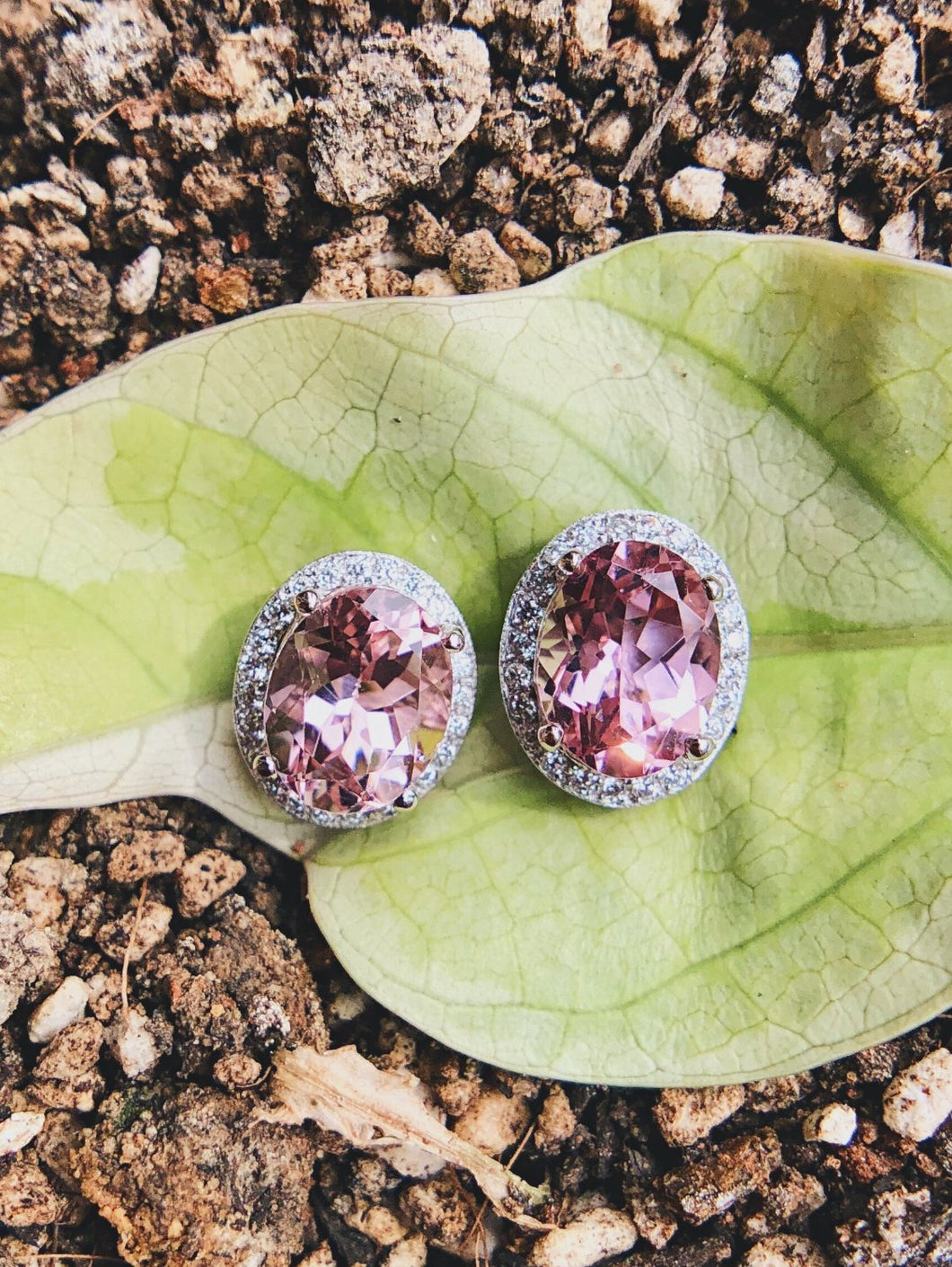 Morganite Earrings