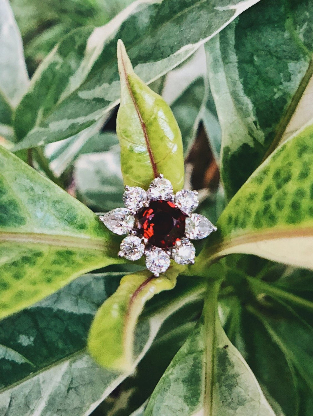 Pigeon Blood Natural Red Ruby Ring