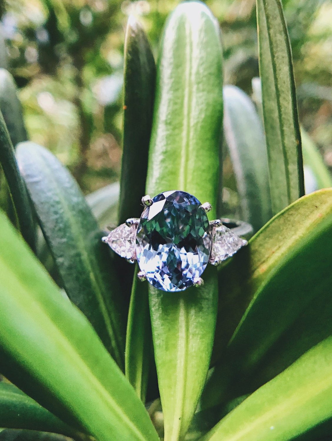 Tanzanite Ring