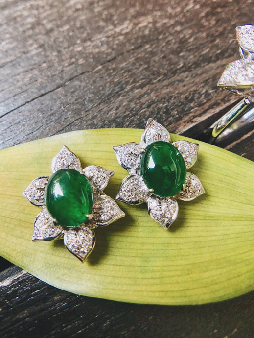 Myanmar Jade Earrings