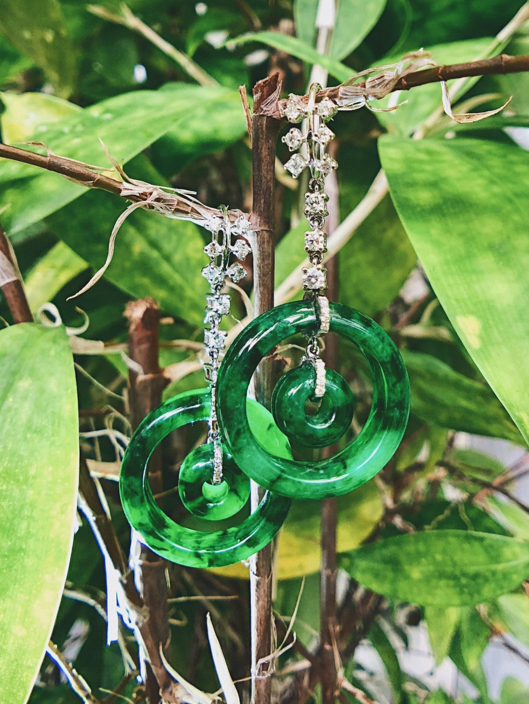 Myanmar Jade Earrings