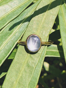 Oval Natural Blue Star Sapphire Ring in Rose Gold