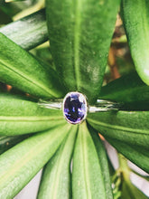 Load image into Gallery viewer, Oval Natural Dark Purple Sapphire Ring in White Gold