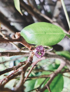 Oval Natural Light Pink Sapphire Ring in Rose Gold